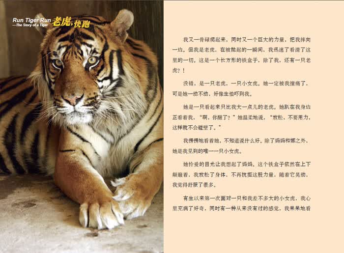 《老虎,快跑 安生,安澜》【摘要 书评 试读】- 京东图书
