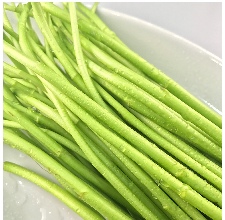 恬女神南京芦蒿八卦洲藜蒿新鲜蔬菜篱蒿去根农家菜现采现发3斤带叶去