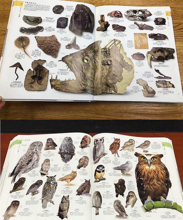 新版抽赠植物大百科dk博物大百科全书中文版精装珍藏版dk儿童动物大