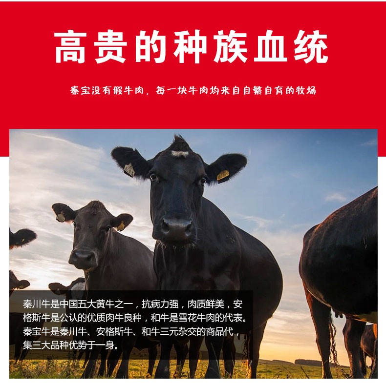 秦宝牛排家庭套装8片136kg谷饲喂养装带油带料包方便食品顺丰新鲜直供