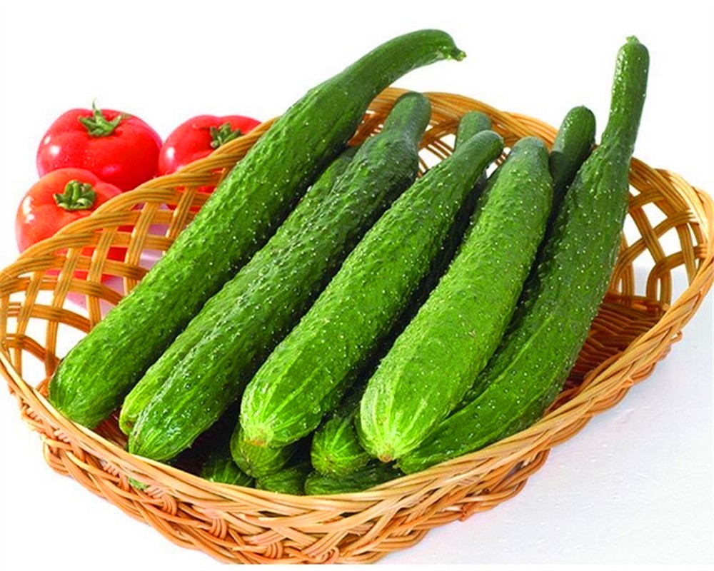 【正常发货】黄瓜 山东特产 刺黄瓜 精选净重5斤 现摘配送 新鲜蔬菜