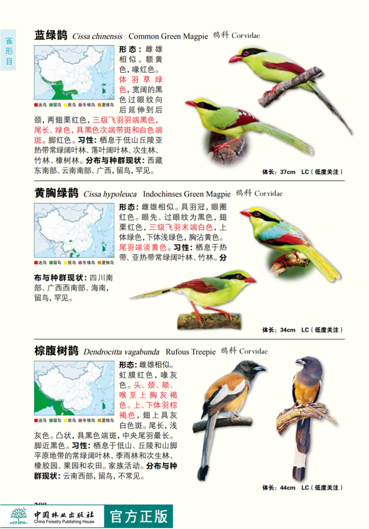 中国鸟类识别手册(第2版) 聂延秋编著 鸟类图鉴典藏图册图志 科普读物