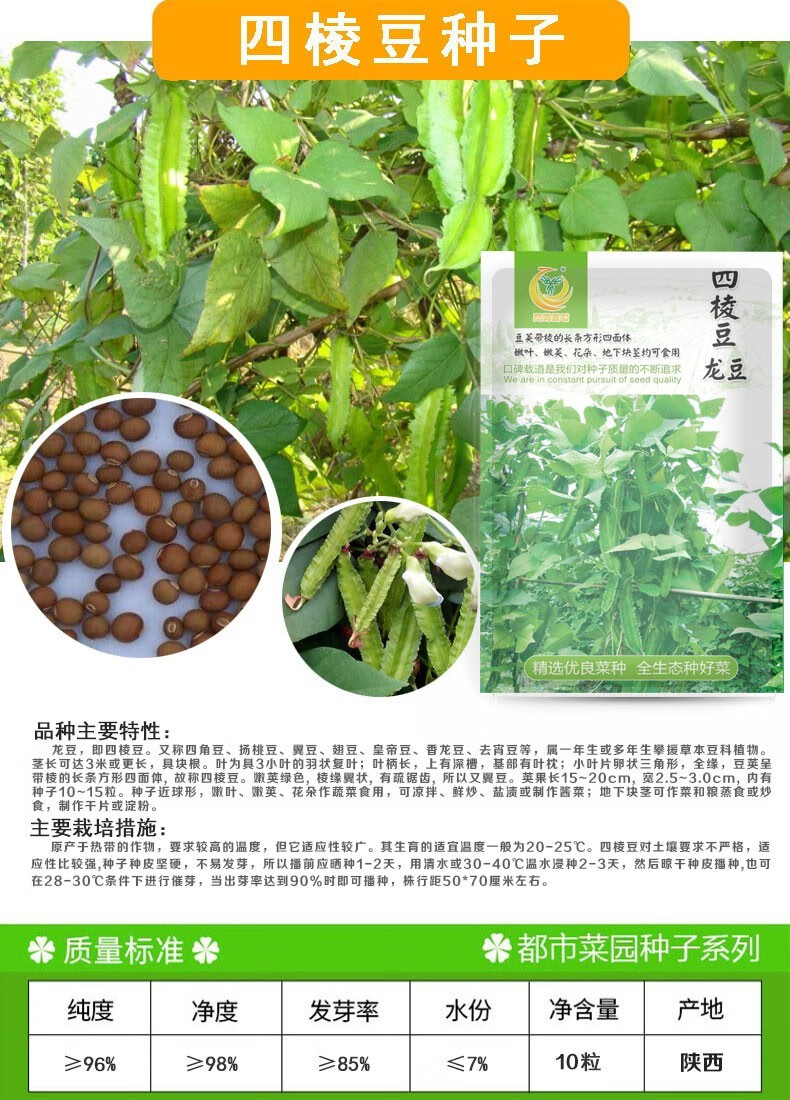 凤鸣雅世 四棱豆种子菱四角豆翼豆龙豆种籽阳台盆栽春秋季四季蔬菜