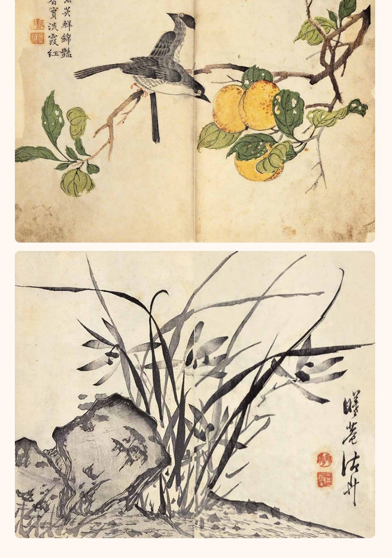 康熙芥子园画传彩色原大版国画临摹画册芥子园画谱山水林木兰竹梅菊