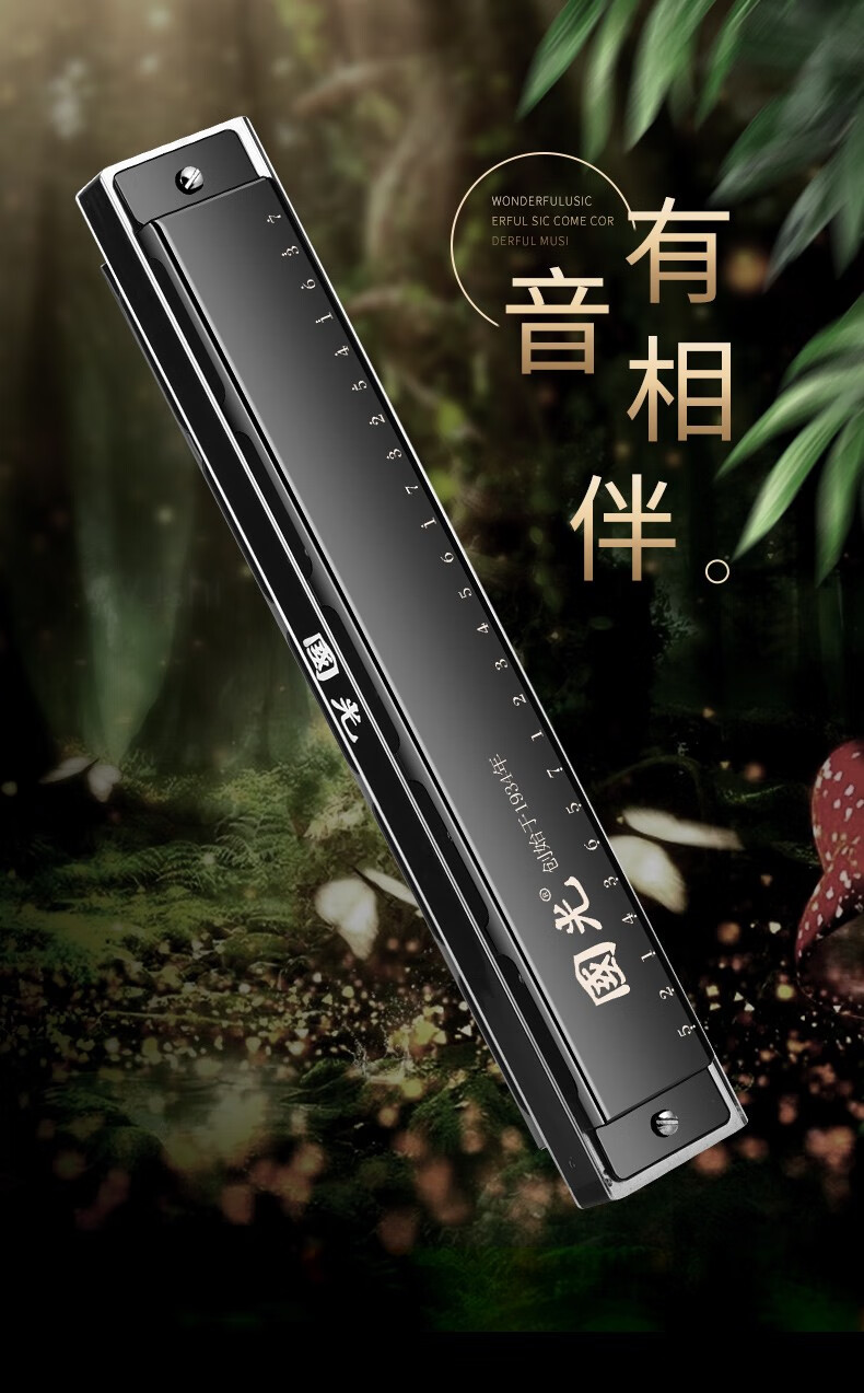 国光口琴重音复音c调初学者学生男士高级成人入门专业演奏级24孔银色