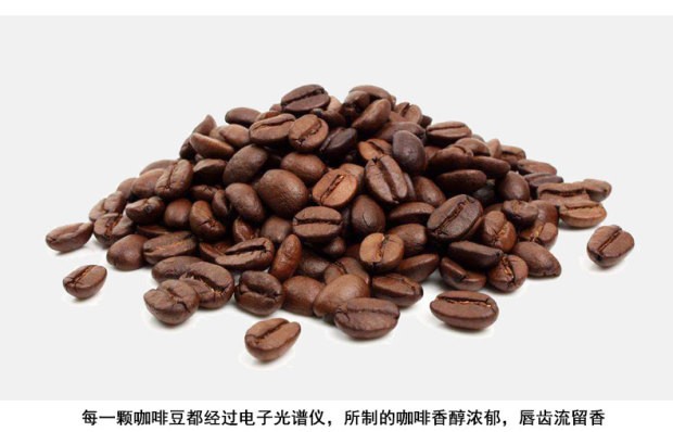 意利illy咖啡豆意大利原装进口意式咖啡豆深度烘焙罐装250克1罐250g