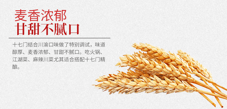 十七门精酿啤酒整箱 经典艾尔白啤 国产精酿啤酒500ml*12瓶