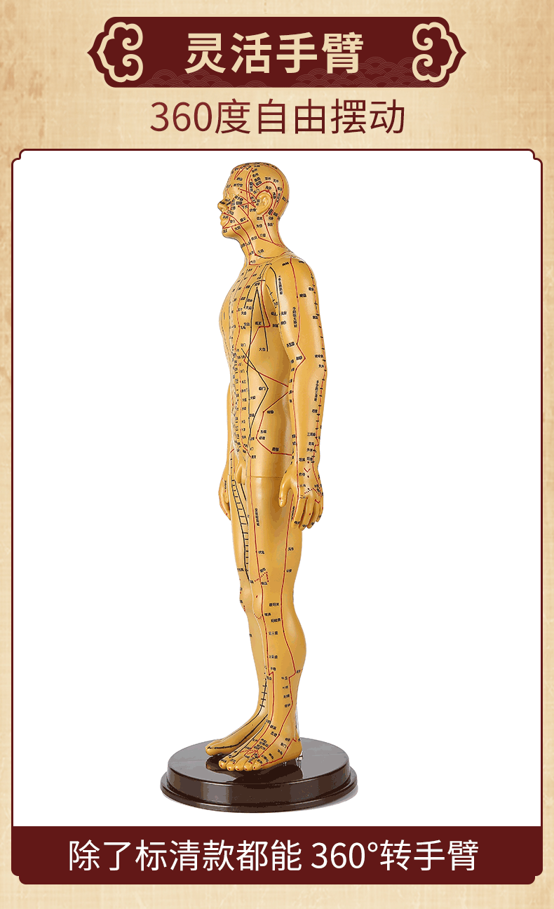 理月针灸穴位人体模型经络全身铜人男女中医全身扎针练习小皮人52cm铜