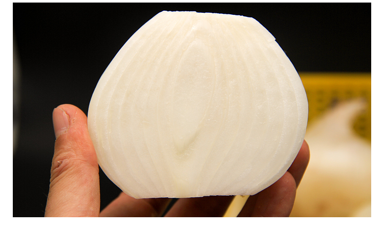 轻恋新疆特产美食白皮牙子洋葱芽子新鲜云南小水果蔬菜甜味生吃礼盒装