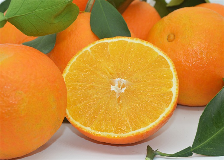浙江象山红美人柑橘爱媛28号桔子果冻橙新鲜水果高端礼盒12个果净重5