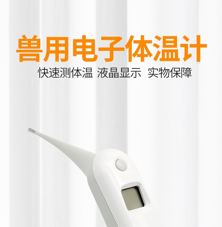 睿牧人动物电子体温计猪牛羊直肠体温计快速测量体温宠物体温计
