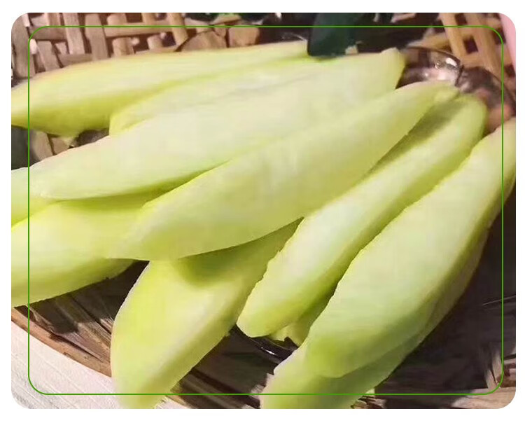 春光岛酸青芒潮汕特产生吃酸脆拖青芒果甘草梅汁腌制芒果新鲜芒果15kg