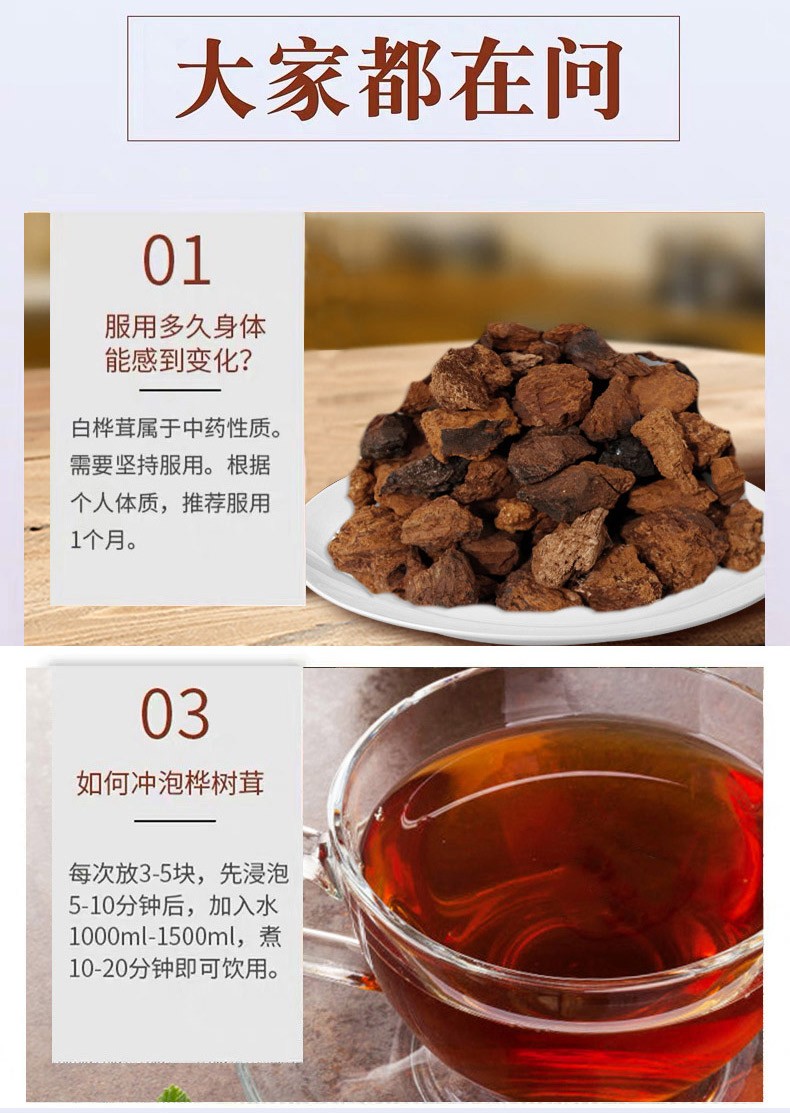 御鹿庄桦树茸桦褐孔菌桦树泪野外生长桦褐孔菌茶白桦茸树可磨粉桦树茸