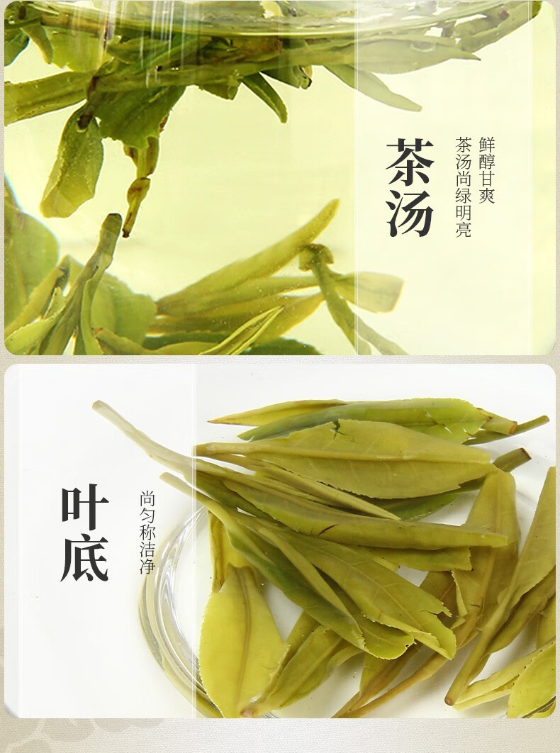西湖牌正宗雨前龙井茶 250g春茶绿茶散装 茶叶【图片 价格 品牌 报价