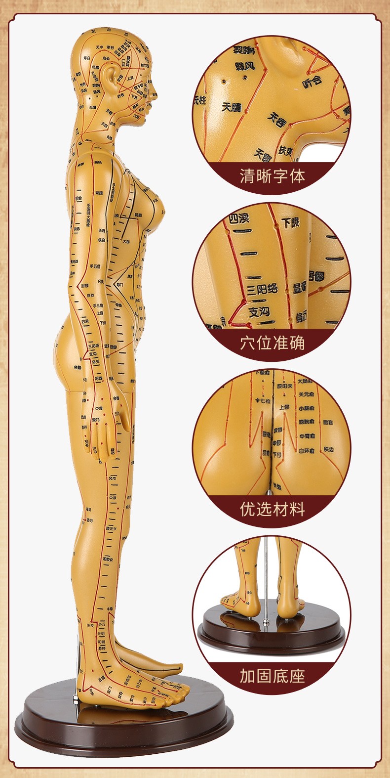 理月人体经络穴位模型针灸铜人男女中医全身扎针练习小皮人52cm铜女