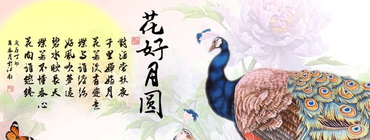 
                                        K-S新款客厅十字绣花开富贵孔雀玉兰花满绣 3股绣 丝线大版 满绣 绣布尺寸 195x70厘米                