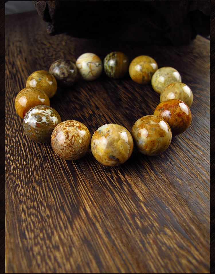 相石缘原矿多宝色树化玉天珠手链男木化石手串佛珠18mm男款