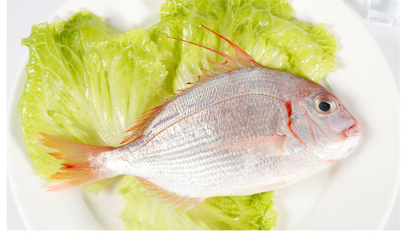 海鲜颂 冷冻赤鯮鱼 赤棕鱼 深海捕捞 海鲜水产 (5-6)条/500g【图片