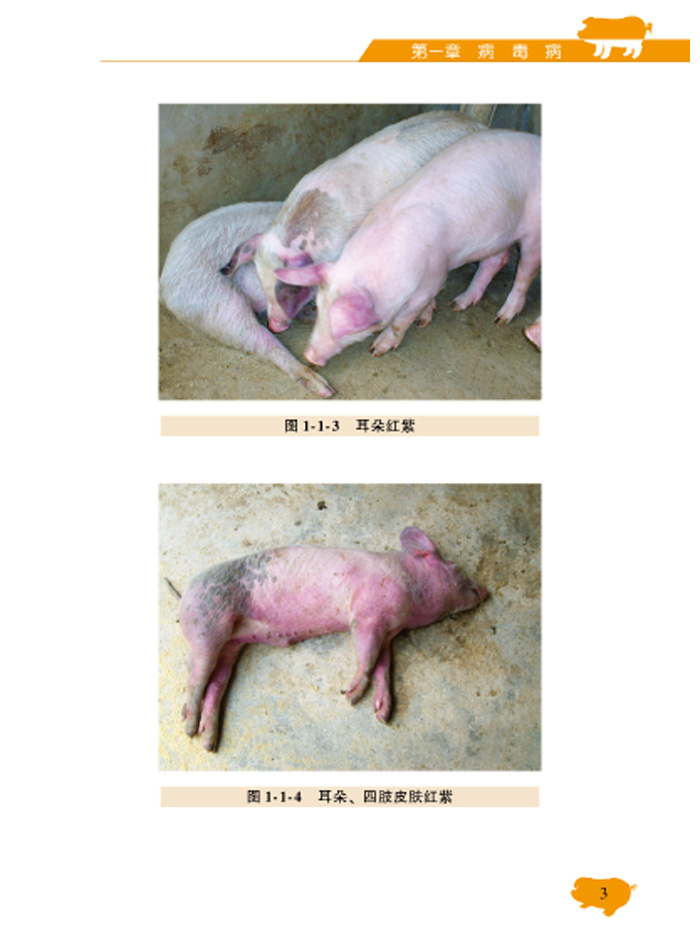 猪病临床诊治彩色图谱 谷风柱 机械工业出版社