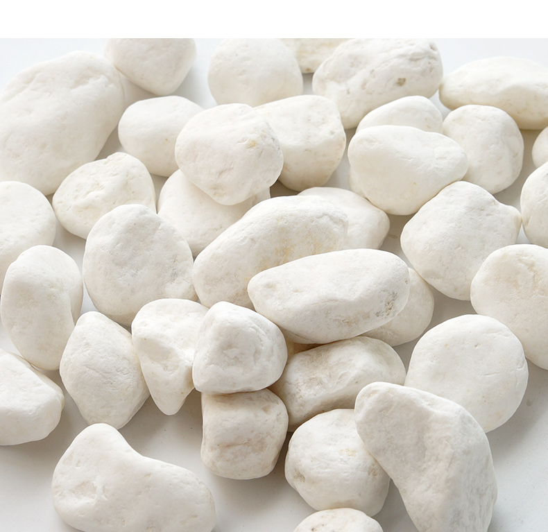 小石头底砂造景石白色底砂石子园艺多肉植物装饰砂 白色雪花石500g