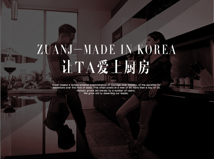 
                                        钻技（ZUANJ） 炒锅不粘锅30cm燃磁通用锅具                