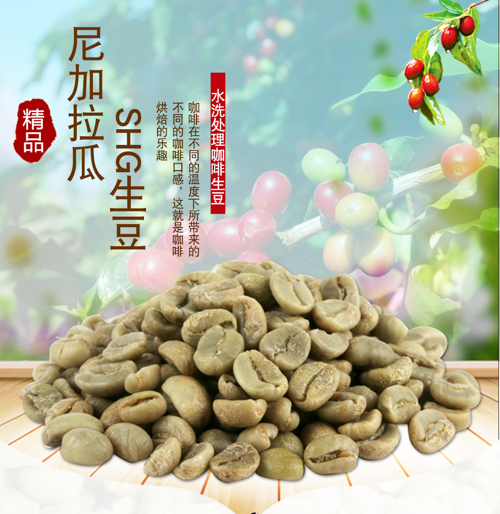 绿之素 尼加拉瓜咖啡生豆原料 shg进口生咖啡豆500g 尼加拉瓜shg
