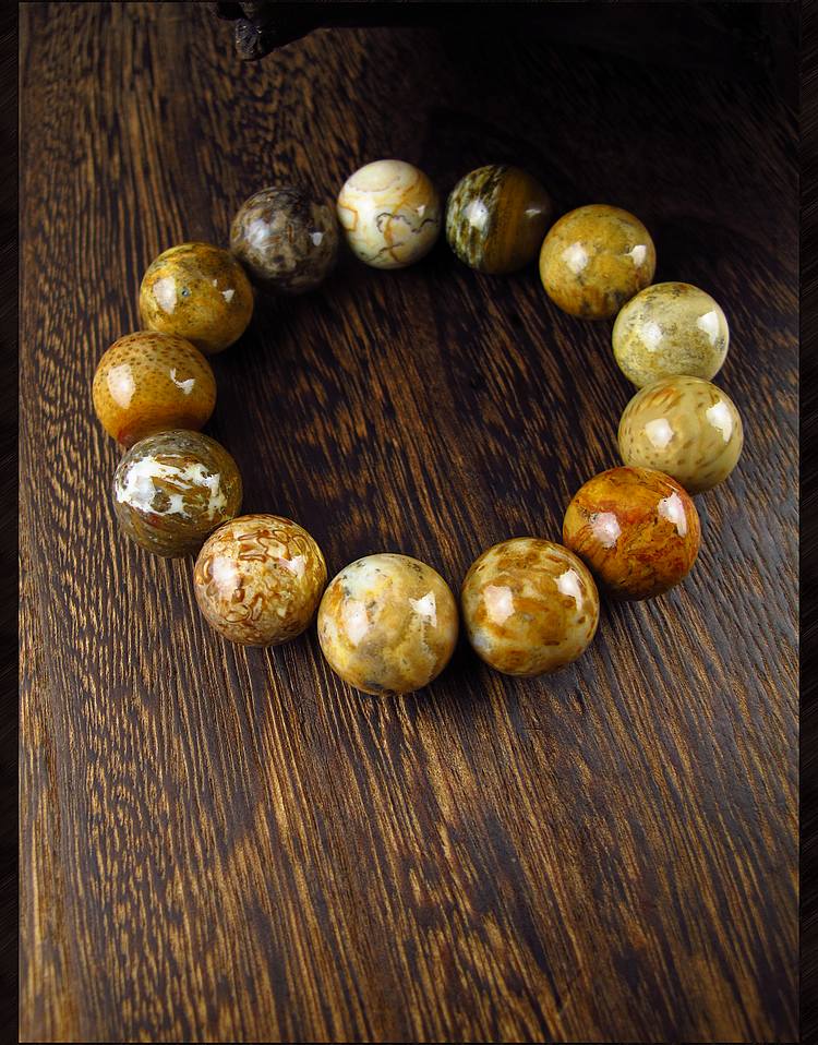 相石缘原矿多宝色树化玉天珠手链男木化石手串佛珠18mm男款