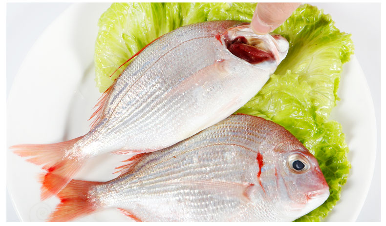 海鲜颂 冷冻赤鯮鱼 赤棕鱼 深海捕捞 海鲜水产 (5-6)条/500g【图片