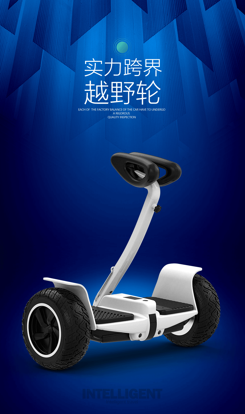 阿尔郎(aerlang) 电动平衡车儿童两轮成人双轮智能代步车带手扶体感车