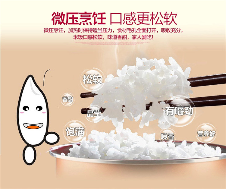 
                                        lecon/乐创 KS90-B1 电压力锅 双胆4L5L6L多款可选 电高压锅饭煲 4L款                