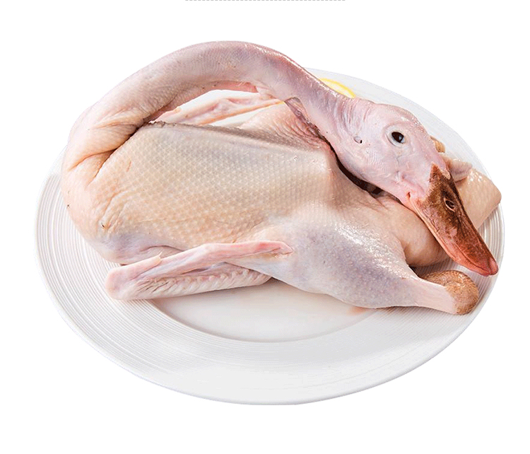 依禾农庄 老鸭子新鲜宰杀麻鸭土鸭鸭肉 宰前毛重约1.