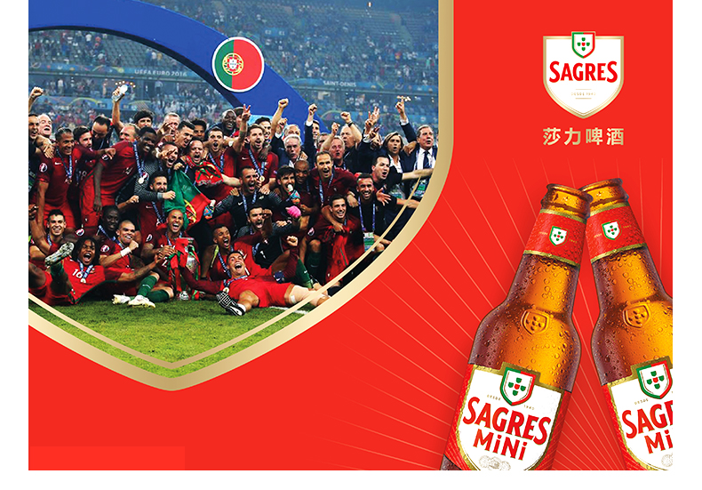 莎力啤酒 葡萄牙原装进口黄啤酒瓶装 250ml瓶