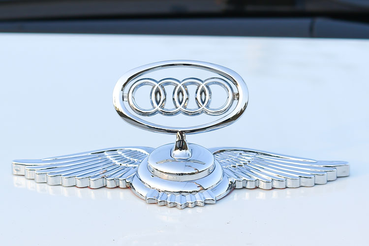 奇积 奥迪飞鹰金属立标 奥迪车身改装专用车标 奥迪车头标贴标改装