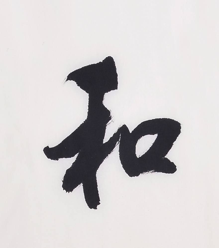 杨传伟 《琴瑟和鸣》河北省书法家协会会员