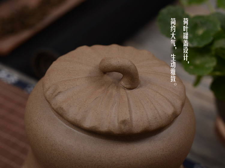 
                                        博度 粗陶茶叶罐子 陶瓷密封罐 茶罐陶罐 大号储藏罐 醒茶罐 出水芙蓉                