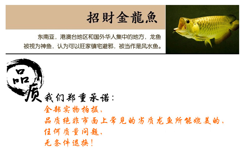 
                                        雅约大摆件工艺品 金龙鱼摆件 办公室客厅装饰品餐厅开业礼品 家居饰品 大号琉璃金龙                