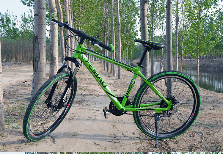 耐嘛naima 山地车自行车21速26寸双碟刹 sd260 (注意:新疆西藏地区暂