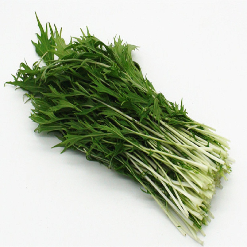 京水菜水晶菜蔬菜新鲜500克500g