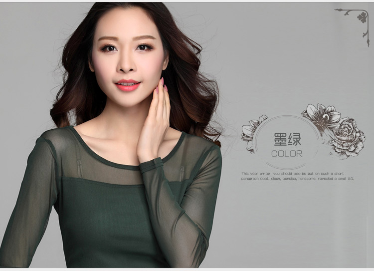 茹森蔓  2016秋季女款t恤性感蕾丝网纱圆领打底衫糖果色长袖低领薄款纱衣  638 黑色 L