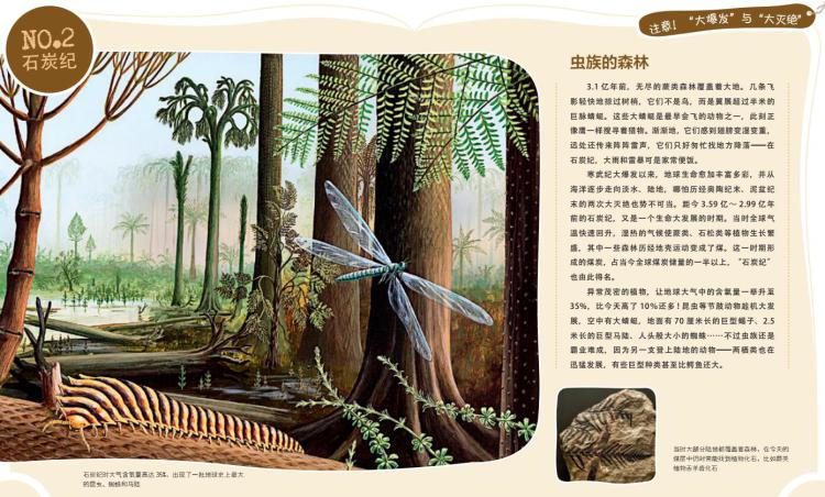 林语尘,毕业于中国人民大学新闻专业,《博物》杂志编辑,擅长绘坏热