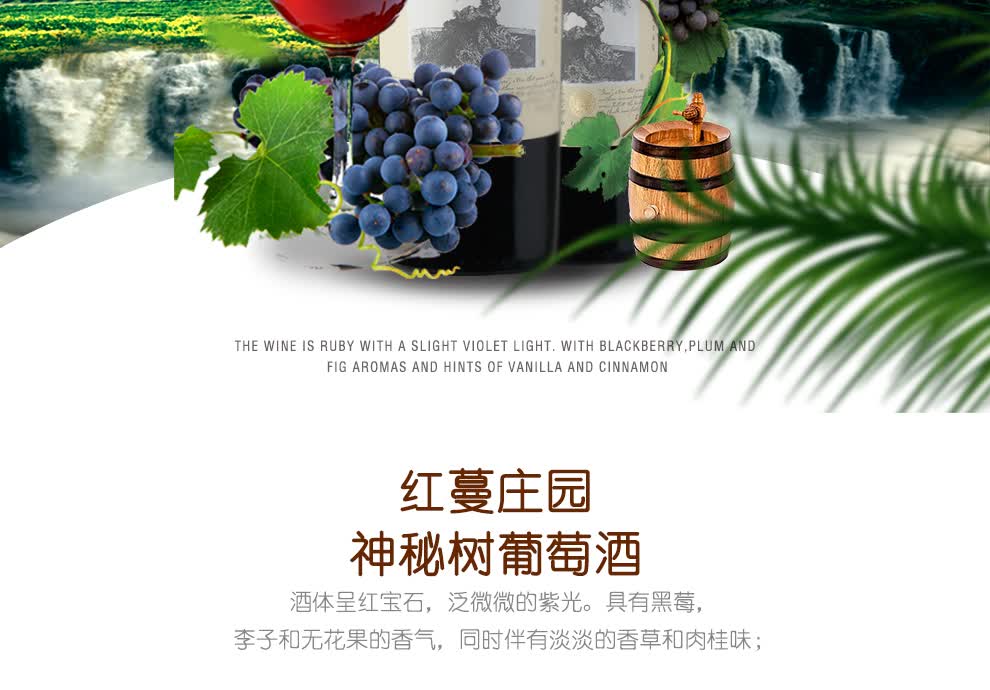智利原瓶进口红酒 红蔓庄园红酒 神秘树干红葡