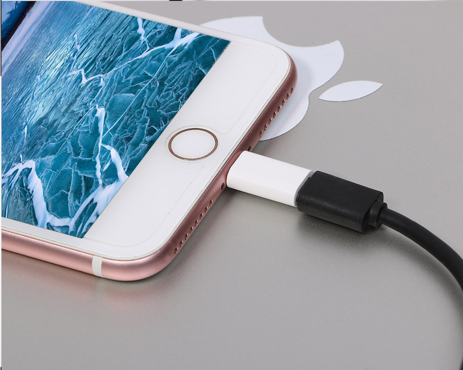 anskp 安卓苹果手机转接头 type-c转lightning数据线充电转换器支持