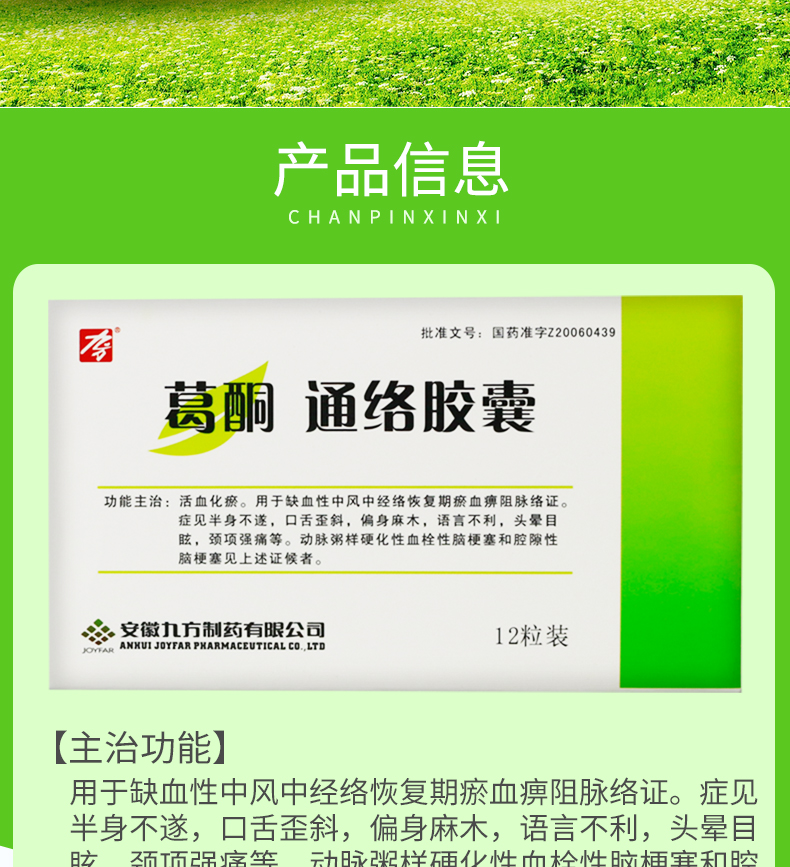 25g*12粒 活血化瘀中风中经络血痹阻脉络 20盒装】【图片 价格 品牌