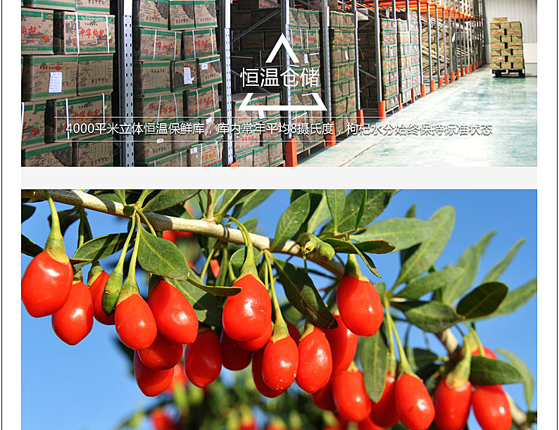 百瑞源头茬枸杞中宁免洗红枸杞子216g*2袋 特优级枸杞