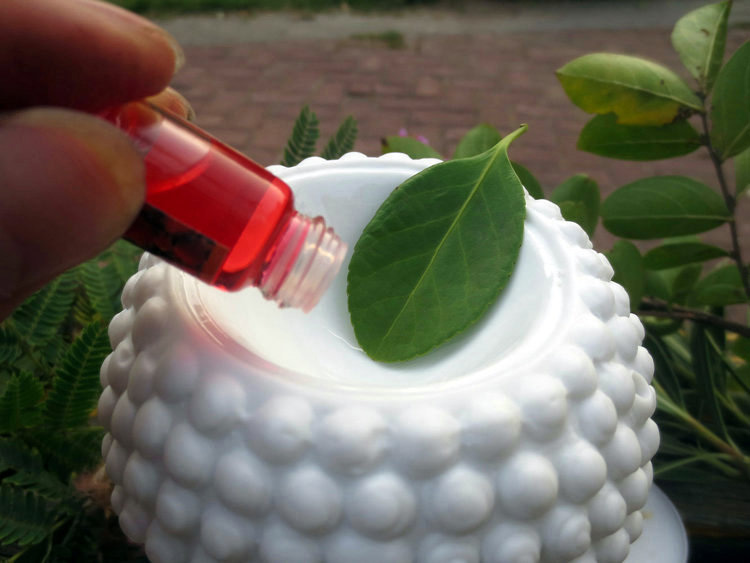
                                        芳夕 佛头香薰炉 陶瓷香薰灯 蜡烛香熏炉精油灯 佛头炉黑色 丨 光滑面不透                