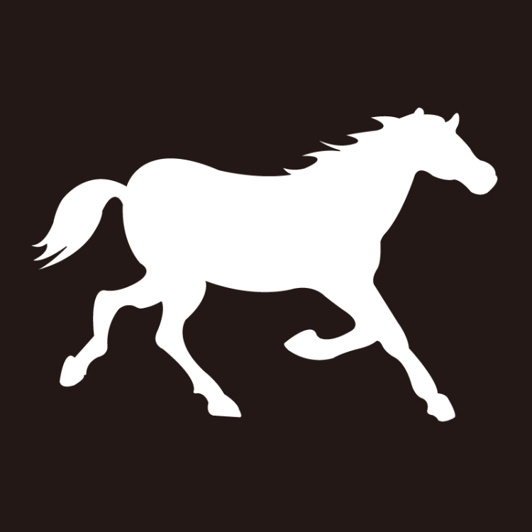 婴幼儿视觉发育激发卡(黑白卡) 嘉良传媒