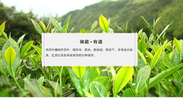 
                                        康韵 陶瓷汝窑茶叶罐 普洱茶罐密封罐大号精品定窑老白茶叶罐 螺纹天蓝茶叶罐                
