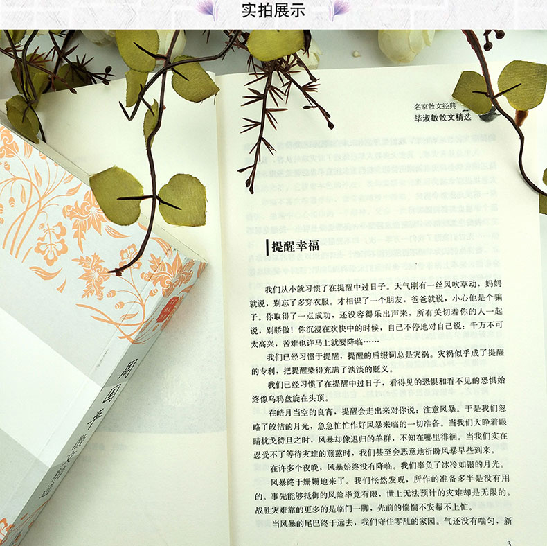 毕淑敏散文精选 张晓风散文集全2册 中国现当代名家经典散文作品精选