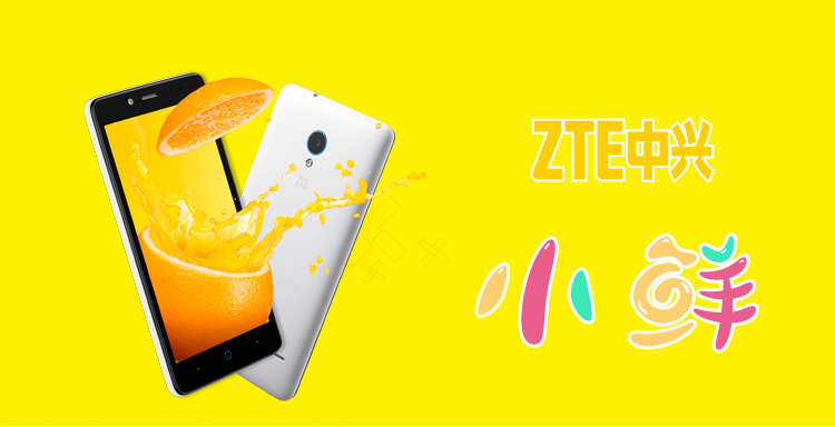 中兴(ZTE)小鲜 A880 电信4G  双卡双待 智能手机 智尚白