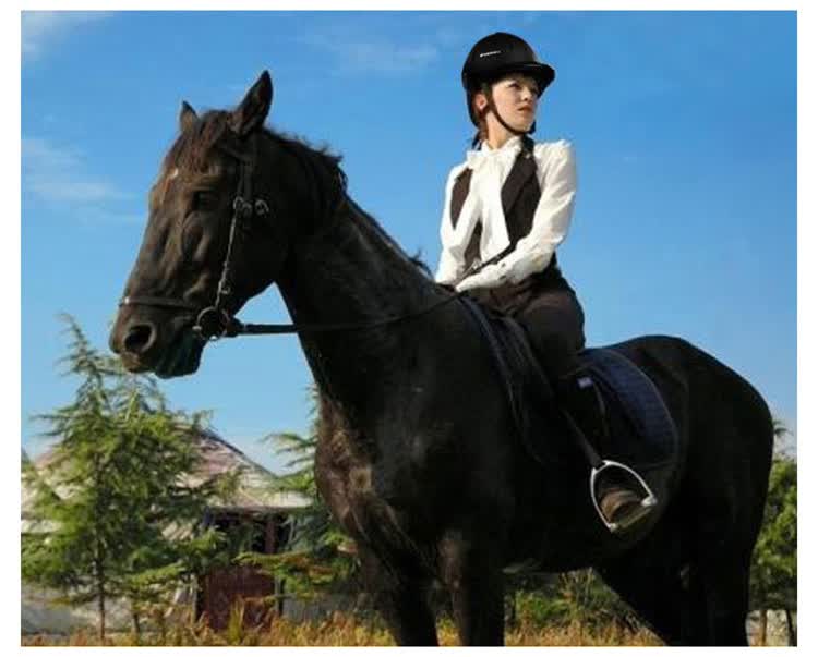 moon马术头盔骑马头盔男女款骑马装备 新款马具用品马盔马帽 黑色 l